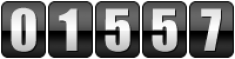 website counter